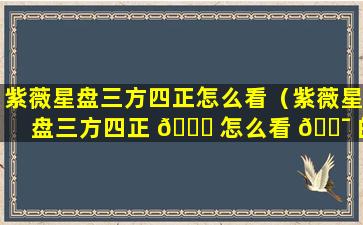 紫薇星盘三方四正怎么看（紫薇星盘三方四正 🐎 怎么看 🐯 的）